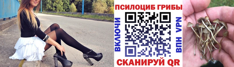 Галлюциногенные грибы MAGIC MUSHROOMS  Петровск 